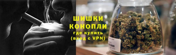 бошки Алексин