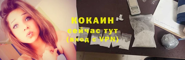 твердый Алексеевка