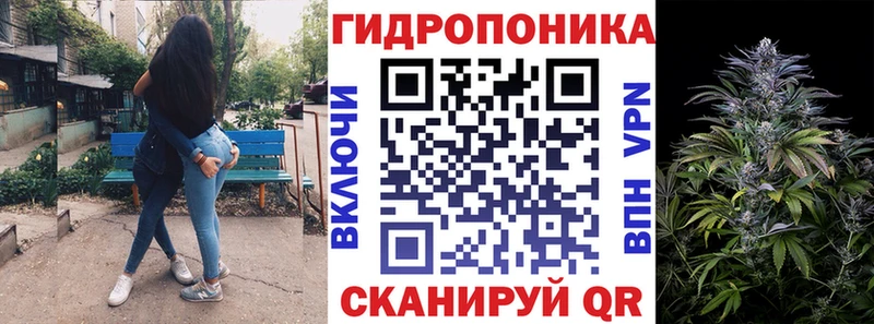 Бошки Шишки семена  нарко площадка какой сайт  Похвистнево 